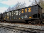 CSX 300967